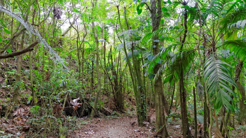 03 - Volcan Arenal (15).jpg